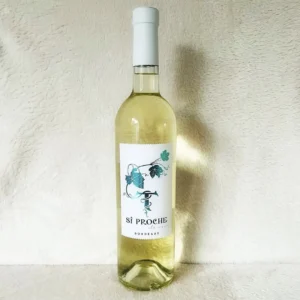 Fles witte wijn